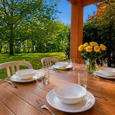 T3 Chaleureux Avec Terrasse, Piscine Et Parking * Prayssac
