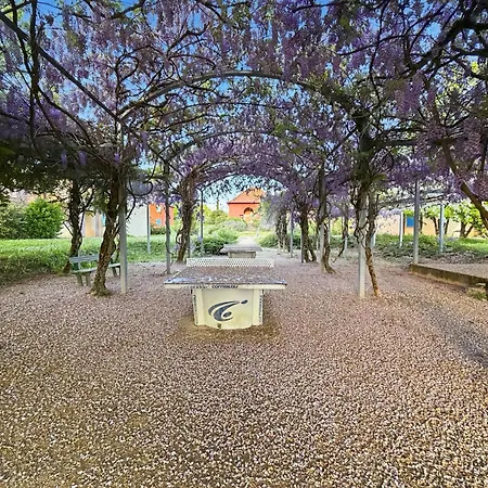 Apartman T3 Chaleureux Avec Terrasse, Piscine Et Parking