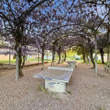 T3 Chaleureux Avec Terrasse, Piscine Et Parking Apartman *