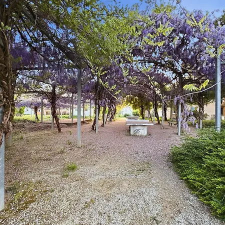 T3 Chaleureux Avec Terrasse, Piscine Et Parking Prayssac