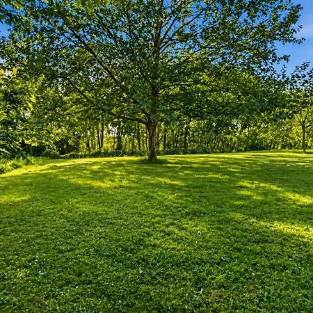 T3 Chaleureux Avec Terrasse, Piscine Et Parking *